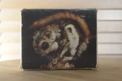 Boxed Sunpak Auto 33 Universal Flash Unit. Great Bounce Flash Unit And Surprisingly Powerful For Its Size. -Cameras Sale Shop DSC 0002 ac379114 b3c7 4aa0 bc9a f14c1c9e3ced