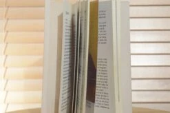 Canon EOS 5 Instruction Guide Book. Ideal For All Levels Of Photographers. -Cameras Sale Shop il fullxfull.4016975689 qo6t